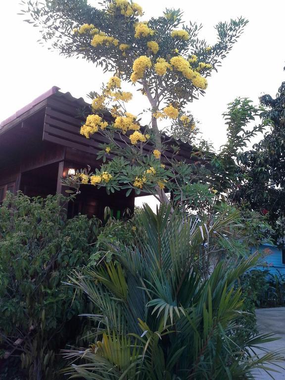 Hug Home Resort براشينبوري المظهر الخارجي الصورة